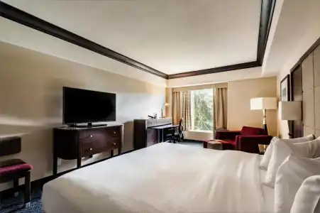 Bonaventure Montreal - 53