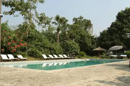 Tiger Tops Tharu Lodge - 13