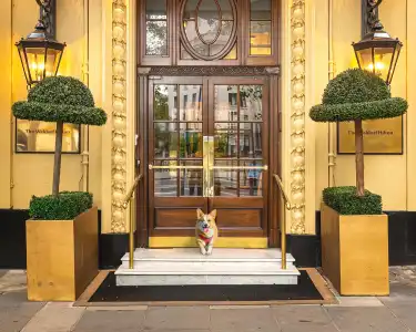 The Waldorf Hilton, London - 0