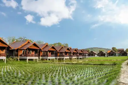 Farmer's Boutique Resort - 44