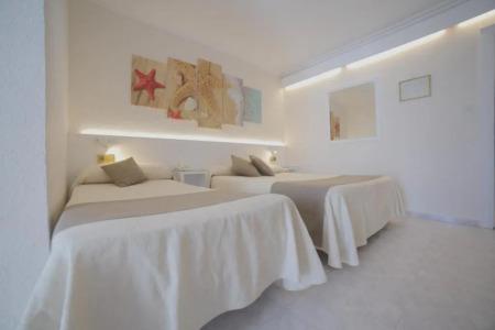 Medium Claramar - 81