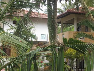 Beach Lagoon Guesthouse - 34