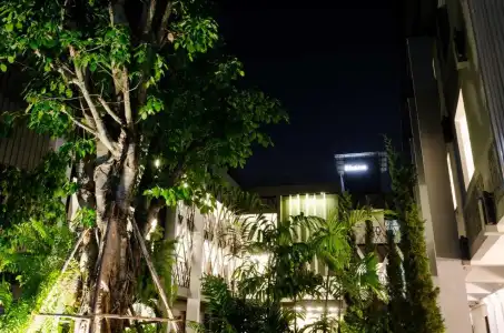 Shane Chiangmai - 22