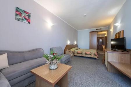 Hrizantema- All Inclusive - 59