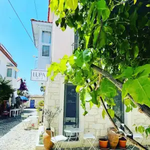 Lupa Alacati - 0