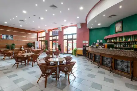 Hrizantema- All Inclusive - 29