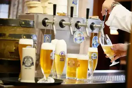 Zum Goldenen Ochsen - 18