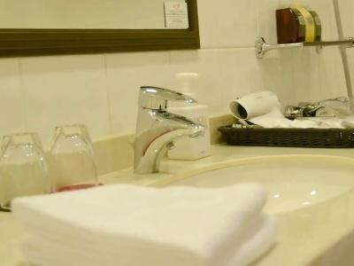 ibis Styles Sapporo - 9