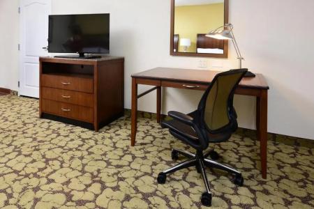 Hilton Garden Inn Greensboro Airport - 74