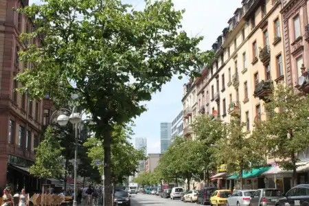 Zeil - 13