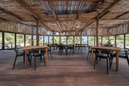 Alito Tulum - 27