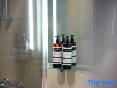 HOTELUX Amsterdam Airport - 31