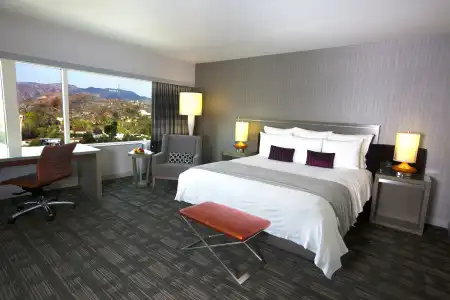 Loews Hollywood - 25