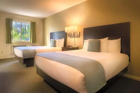 Sun & Ski Inn and Suites - 56