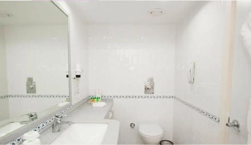 Holiday Inn Istanbul City - 10