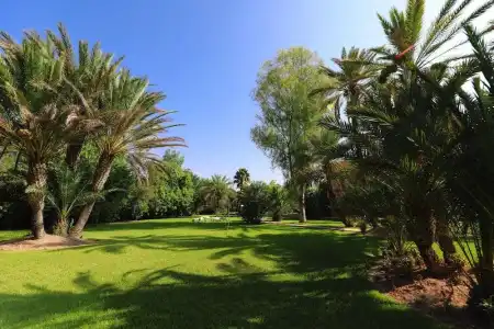 Villa Al Assala Palmeraie - Piscine chauffée - 42