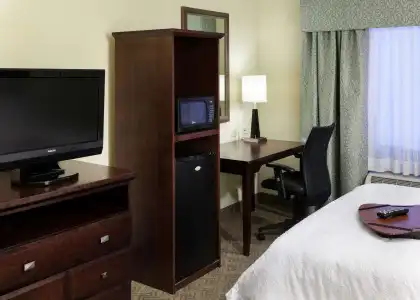 Hampton Inn & Suites Dallas-Arlington-South - 2