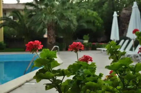 Palm Court Suites - 45