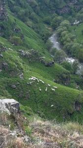 Amrakits Canyon Guest house - 22
