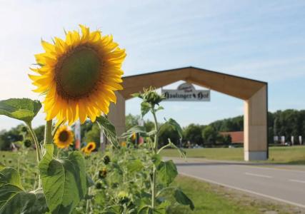 Am Haslinger Hof - 24