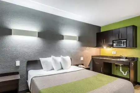 Motel 6 Austin, TX - Midtown - 5