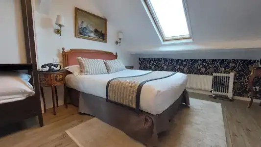Hôtel Dandy - 16
