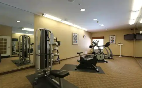 Holiday Inn Express Tampa N I-75 - University Area by IHG - 13