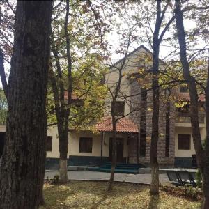 Tsaghkatun - 16