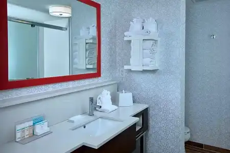 Hampton Inn Wilmington-Medical Park - 85