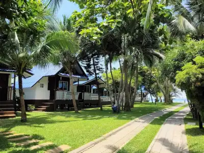 Assava Dive Resort - 43