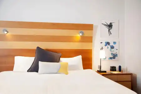 voco St David's Cardiff by IHG - 69