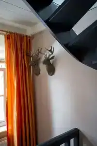 City Guesthouse De Rozenboom - 19