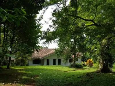 Chitra Ayurveda - 57