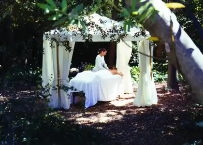 Milliken Creek Inn - 25