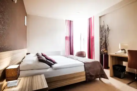 Deluxe with Free Wellness and Fitness Centrum - 5