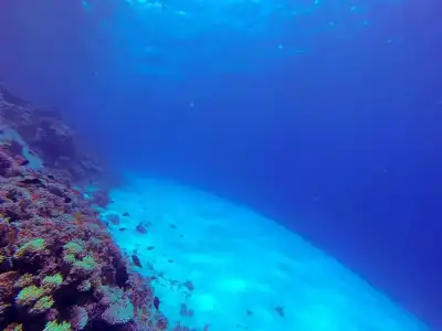 El Primo Dahab - 20