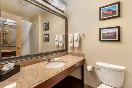 Comfort Inn & Suites Durango - 62