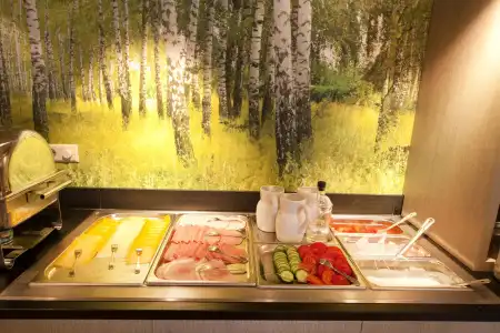 Fletcher-Restaurant Het Veluwse Bos - 10