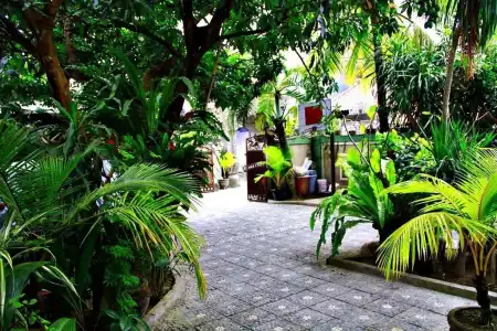 Nakula Guest House - 9