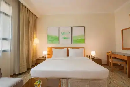 Swiss-Belinn - 29