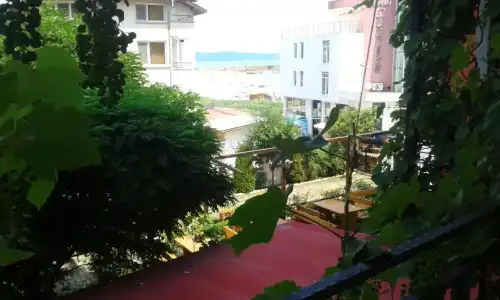 Bellisimo - 15