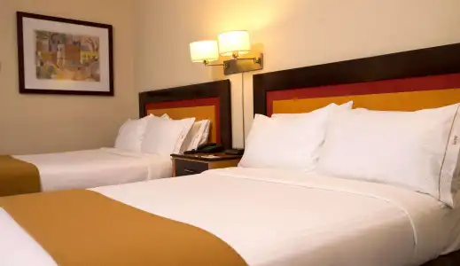 Holiday Inn Express Puerto Madero by IHG - 5