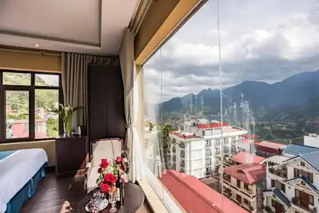 Sapa Mimosa - 47