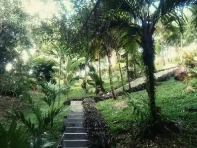 Villa Vanilla - 10