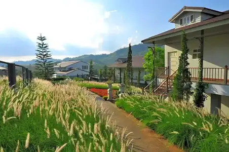 Breeze Hill Resort - 96