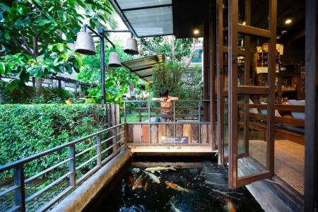 Gord Chiangmai - 52