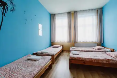 Hostel Tara - 56