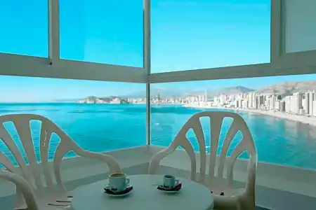 Kaktus Benikaktus - 39