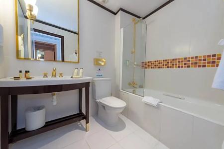 Hôtel L'Ormaie & Spa - 70