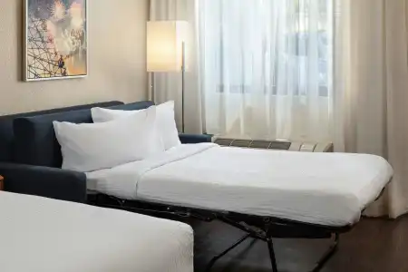 Fairfield by Marriott Anaheim Resort - 3